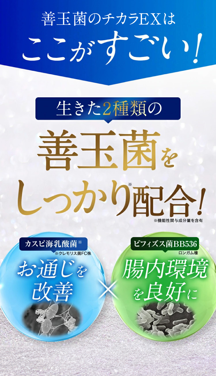 フジッコ 【公式】フジッコ 善玉菌のチカラEX 1袋（1袋31粒入り）便秘