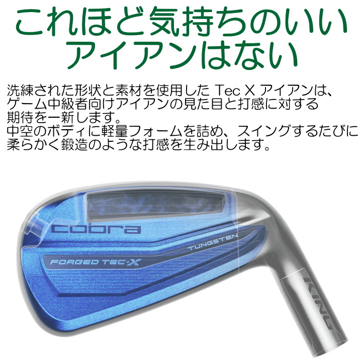 右用 2023 コブラ KING フォージド テック X ブラック アイアンセット 6本 (#5-9,Pw) NS PRO 950GH neo  スチールシャフト US仕様 cobra Forged Tec X Black : co-ir-23kftxi6b : ゴルフショップ フジコ - 通販  - Yahoo!ショッピング