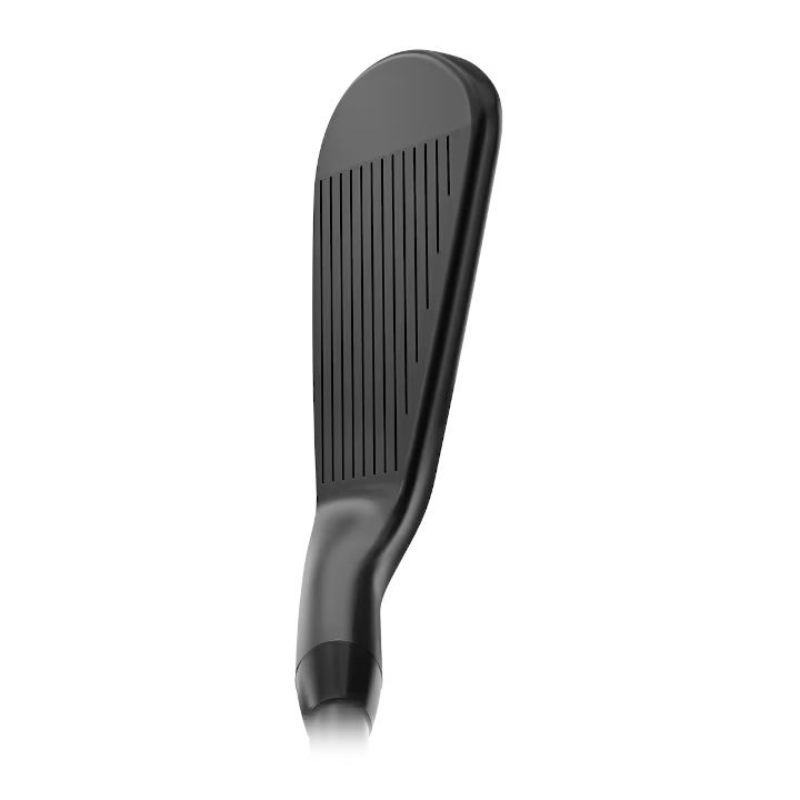 T-Series 右用 2025 タイトリスト T200 ブラック アイアン 単品