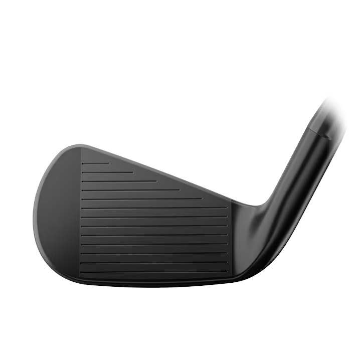 T-Series 右用 2025 タイトリスト T200 ブラック アイアン 単品