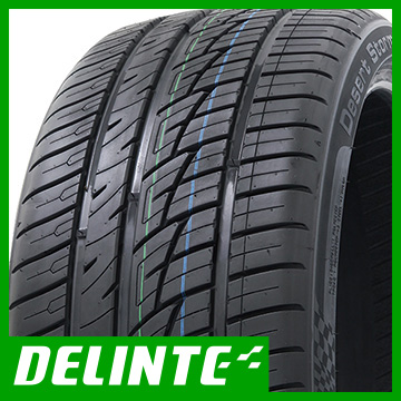 【2本セット】 DELINTE デリンテ DS8(限定2022年製) 245/45R19 98Y タイヤ単品 :T043822 02:フジコーポレーション