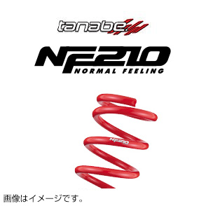 TANABE ^ix JX^XvO SUSTEC NF210 TXebNGkGt210 z_ t[h GT5 2024` GT5NK (ꕔn)