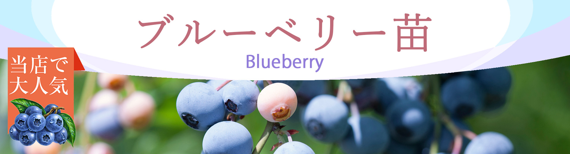 富士園芸Yahoo!ショッピング店 - Yahoo!ショッピング