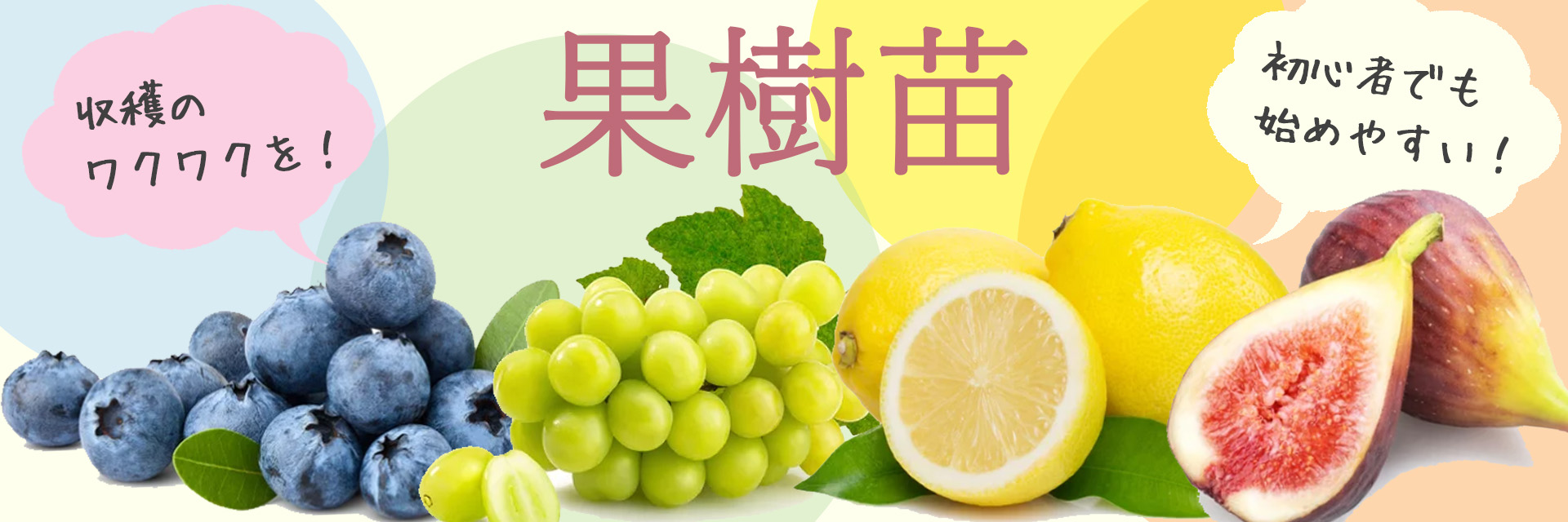 富士園芸Yahoo!ショッピング店 - Yahoo!ショッピング