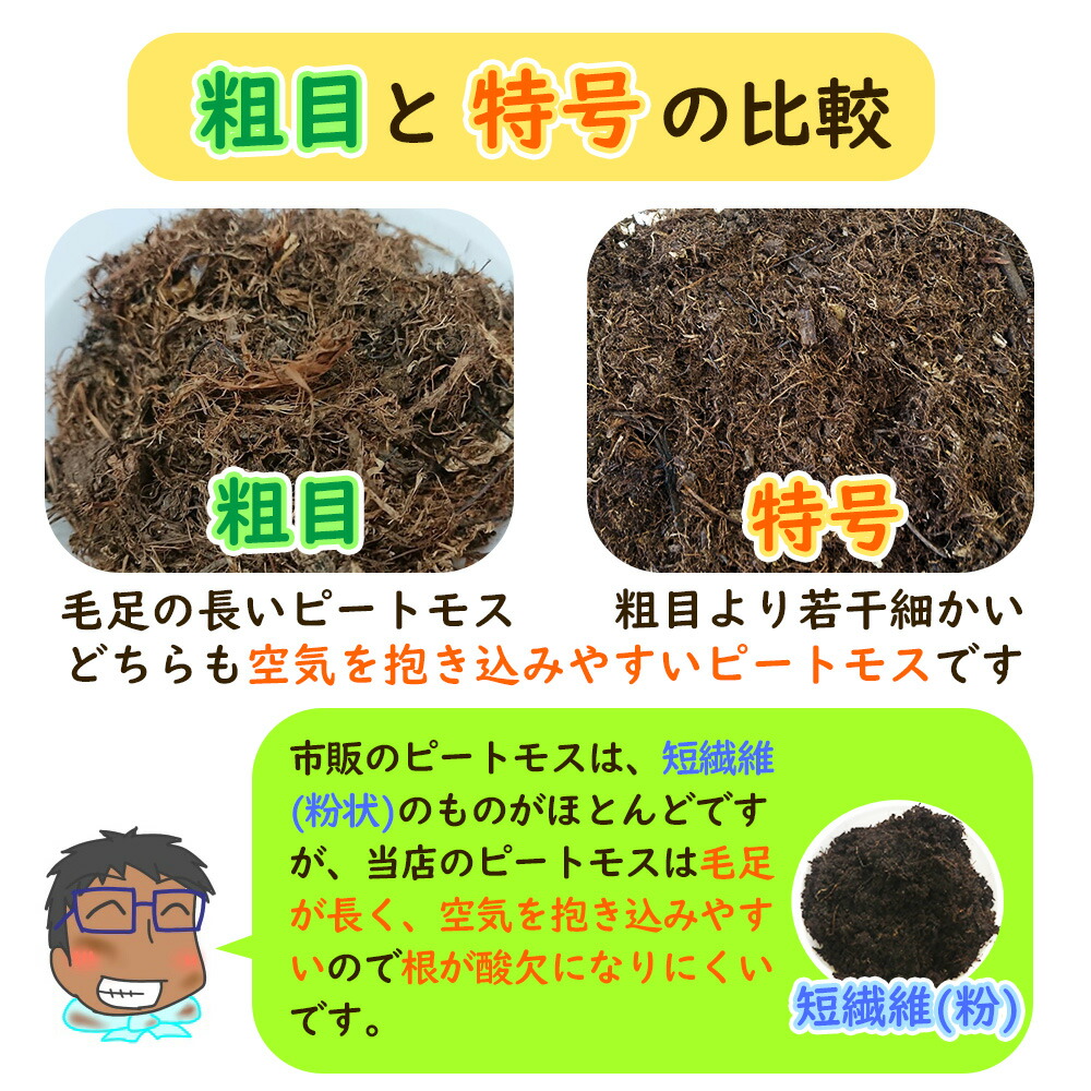 土壌改良剤ピートモス『 特号 (短繊維と粗目の間)』大容量の50L! 1袋
