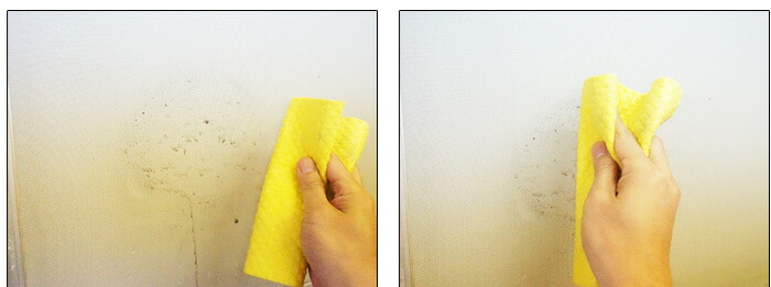 フラワータワシ フローラ