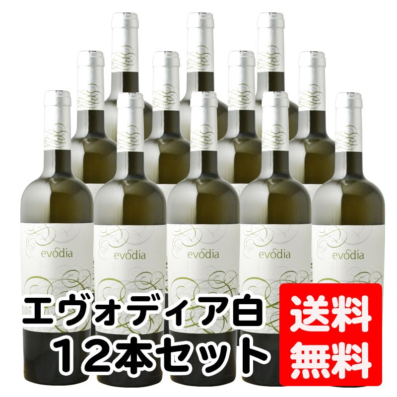 送料無料】【12本セット】エヴォディア 750ml 白×12本 エボディア evodia 赤ワイン ホワイトワイン コスパ重視 辛口 ハロウィン  お歳暮 ギフト 御祝 熨斗 :106899-s12:業務用酒販 ふじまつ ヤフー店 - 通販 - Yahoo!ショッピング