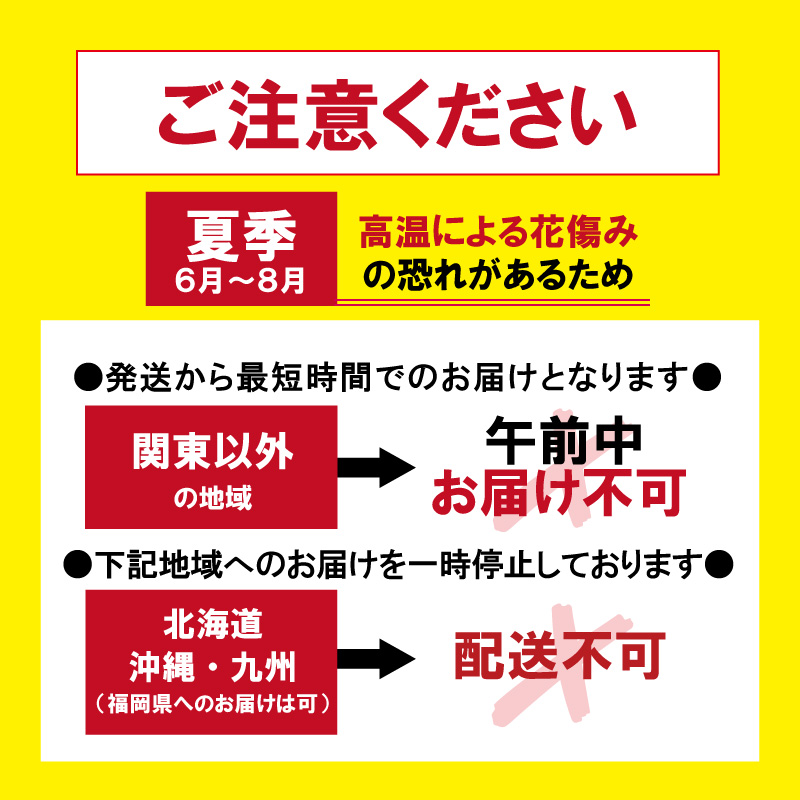【BONUS対象ストア】《大輪36輪以上》選挙 胡蝶蘭 お祝い お供え 3本立ちゴージャスタイプ 選べる4色 就任 昇進 お祝い お供え |  | 20