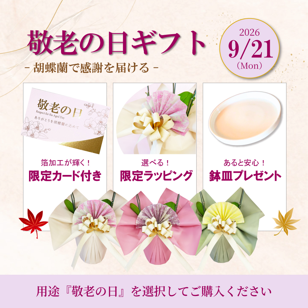 敬老の日