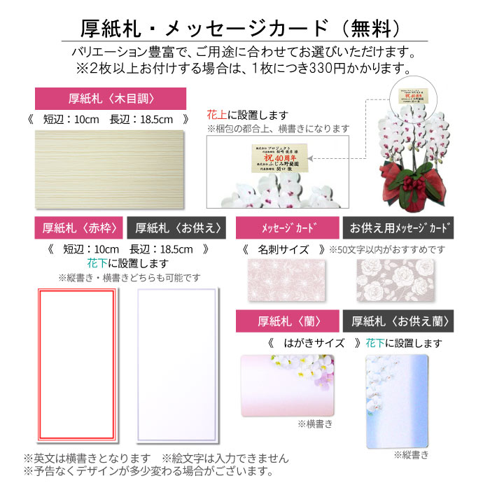 胡蝶蘭 お祝い お供え 3本立ち スタンダードタイプ 選べる5色 |  | 17