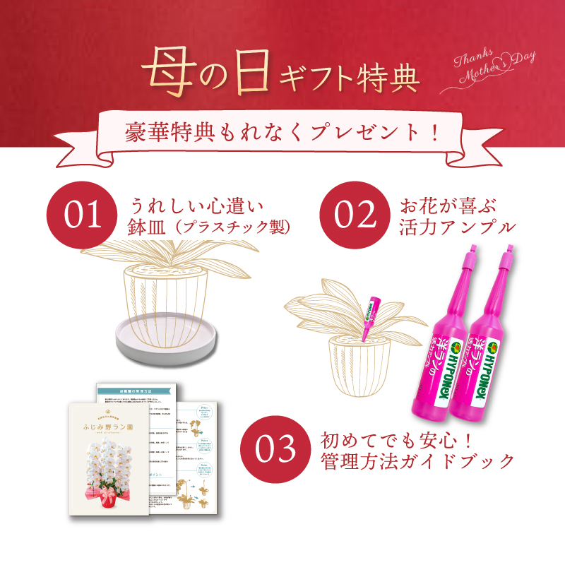 母の日特典