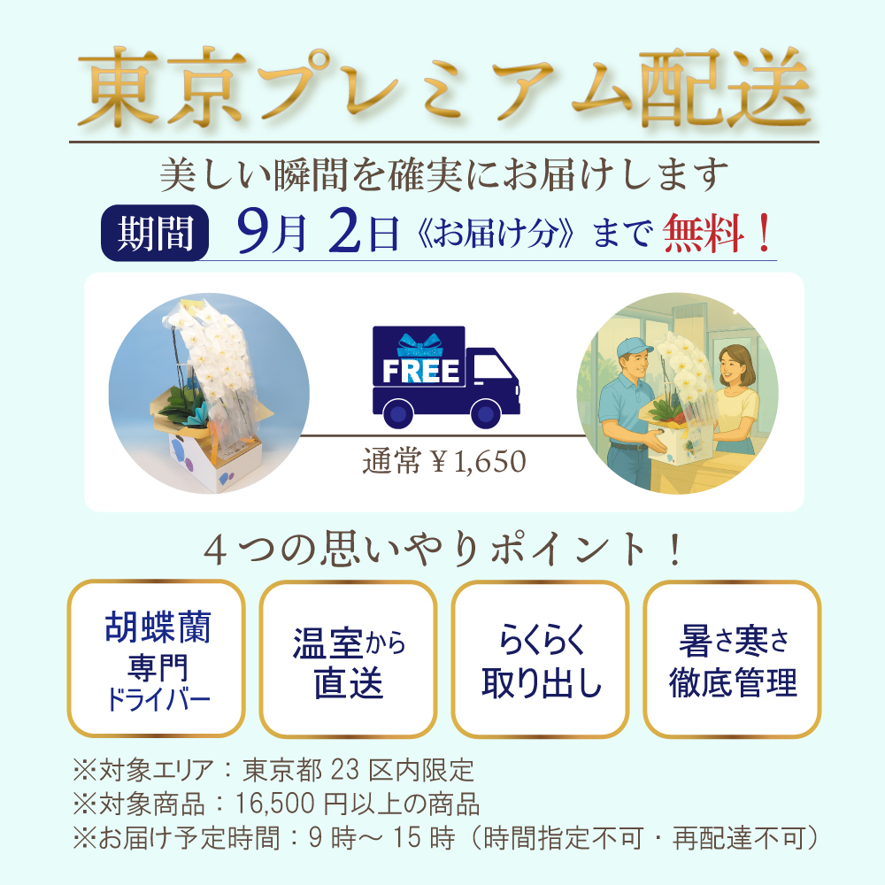 BONUS対象 胡蝶蘭 3本立ち 36輪以上 選べる4色 お祝い お供え |  | 23