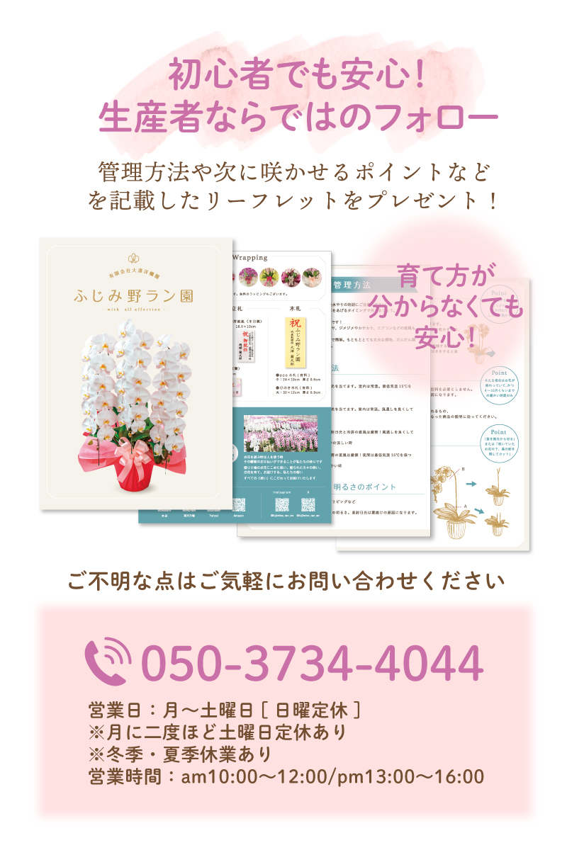 パンフレット・お電話注文のご案内