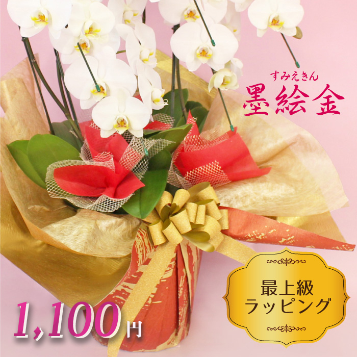 【BONUS対象ストア】胡蝶蘭 お祝い お供え 3本立ち10000円 選べる5色 お祝い お供え 花ギフト お誕生日 開店祝 開業祝 新築祝 |  | 16