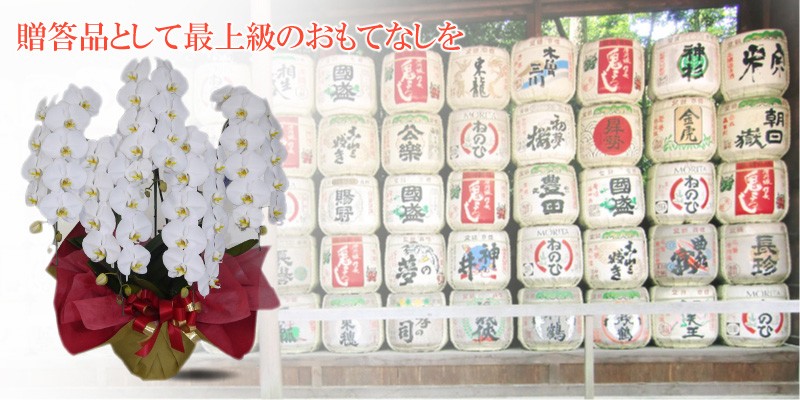 タイトル画像