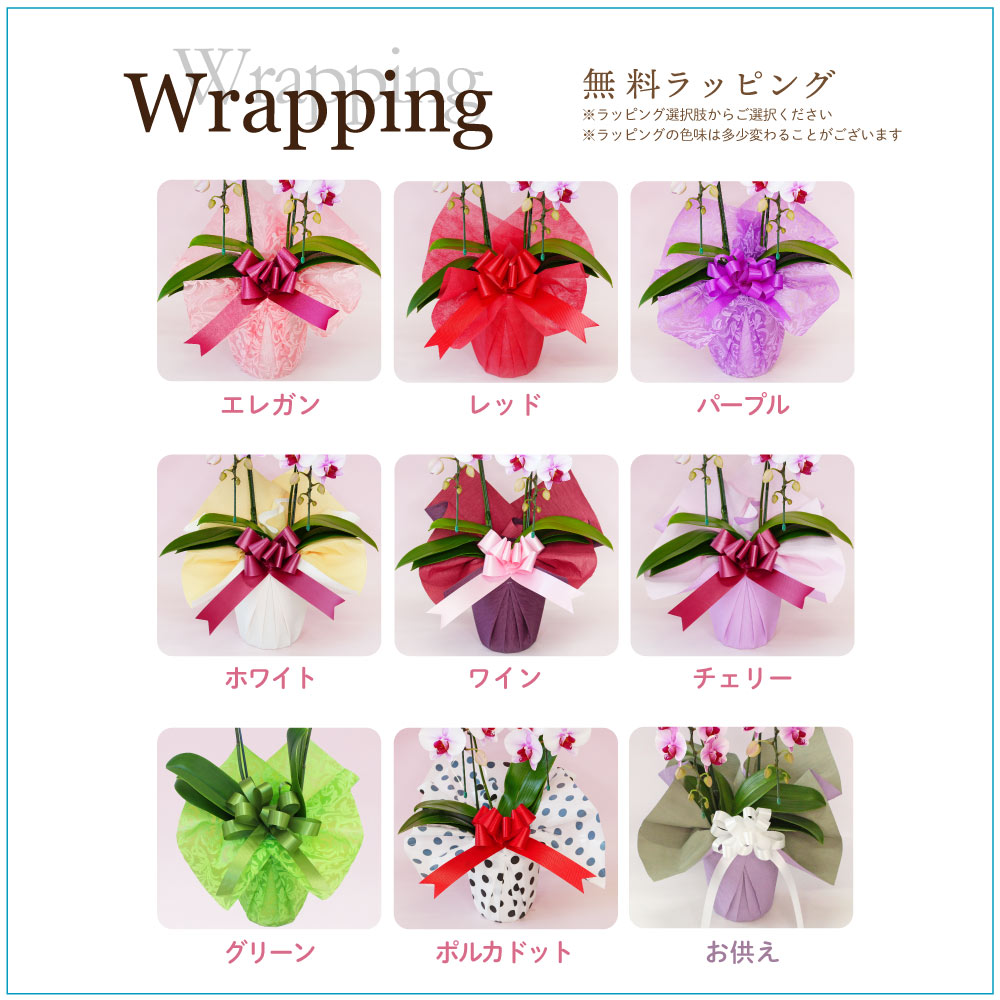 イチジクの穂木4品種 いちじく】挿木する穂木は どれがいい？ 成功率が高い穂木はどれ