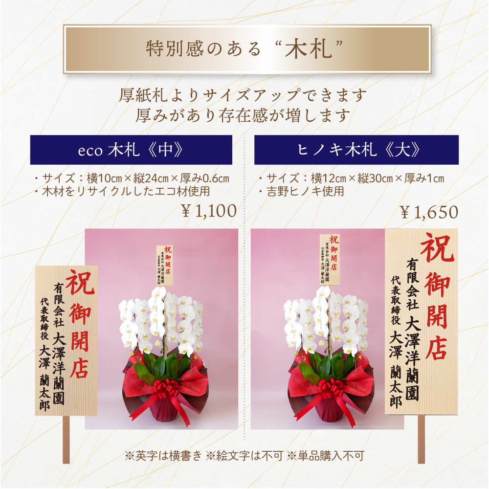 胡蝶蘭 雅 -MIYABI- 3本立ち お誕生日 開店祝 開業祝 新築祝 お歳暮 各種プレゼントお祝い お供えの画像