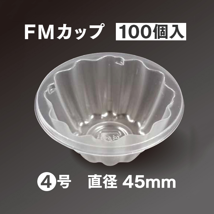 ĝăvX`bNe FMJbv 4 100 Ɩp