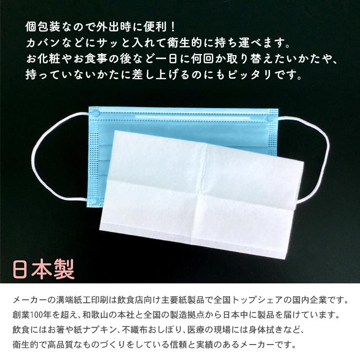 個包装 マスク用取り替えシート 2000枚 日本製 マスク用1DAYライナー 不織布 100枚×20P マスク用フィルター 使い捨て 交換シート 業務用 送料無料