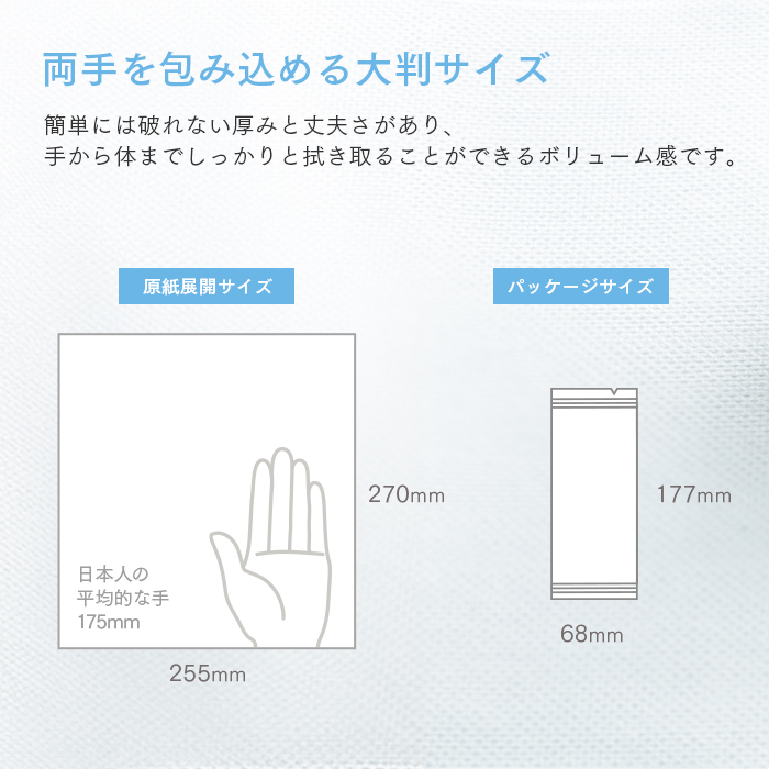 化粧品基準 FSX 使い捨て 紙おしぼり AIRY エアリー BLUE/GRAY VB COSME 100本 大判 厚手 高級感 おしゃれ 業務用 送料無料 | FSX | 05