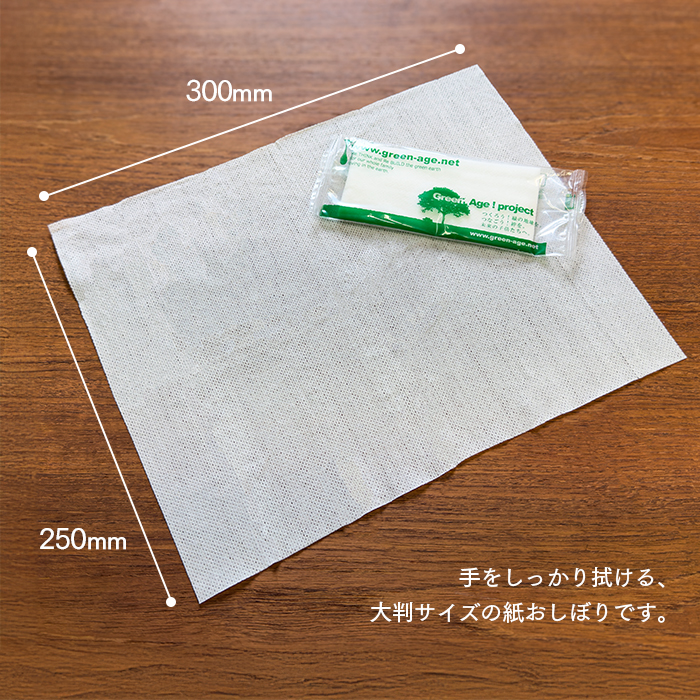 紙おしぼり 平型 グリーンエイジ (エコグリーン) 1ケース 600本 日本製