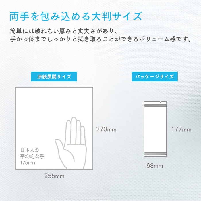 化粧品基準 FSX 使い捨て 紙おしぼり アロマおしぼり アロマプレミアム VB COSME 24本×5種セット 120本 アソート 大判 厚手 高級感 おしゃれ 業務用 送料無料 | FSX | 07