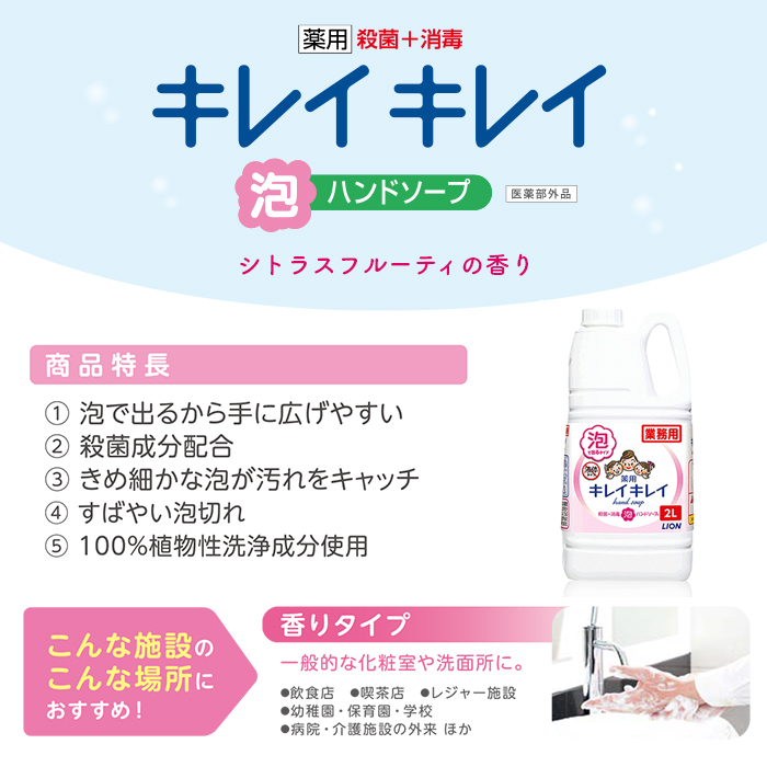 プッシュポンプ付き ライオン キレイキレイ 薬用 泡ハンドソープ 2L