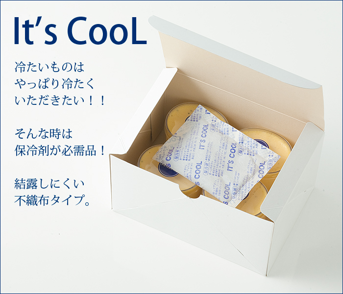 保冷剤 1000グラム It's Cool(イッツクール) I-1000F 不織布 1ケース(16入)