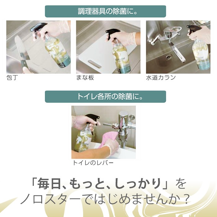 業務用 ニイタカ ノロスター