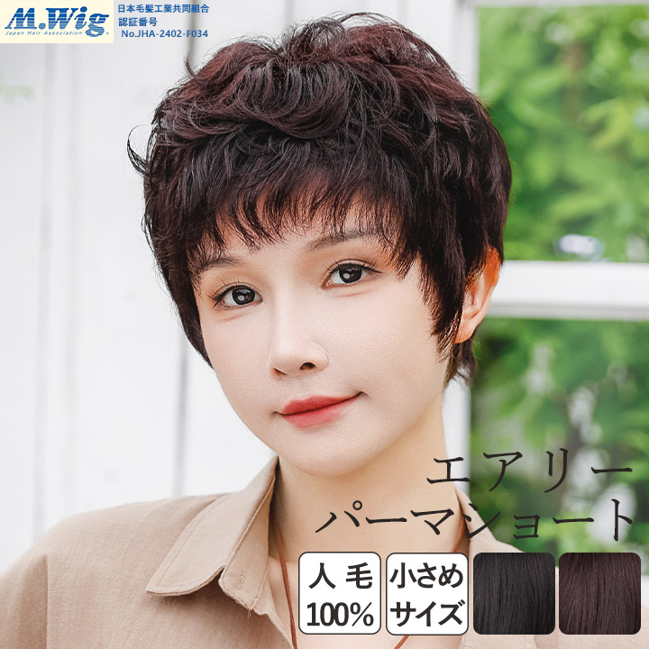 TefuRe（テフリ） 医療用ウィッグ 小さめサイズ 人毛 人毛100