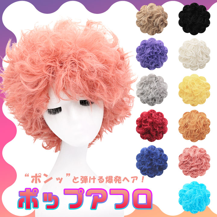 富士達 【ウィッグネットプレゼント】アフロウィッグ アフロ 黒