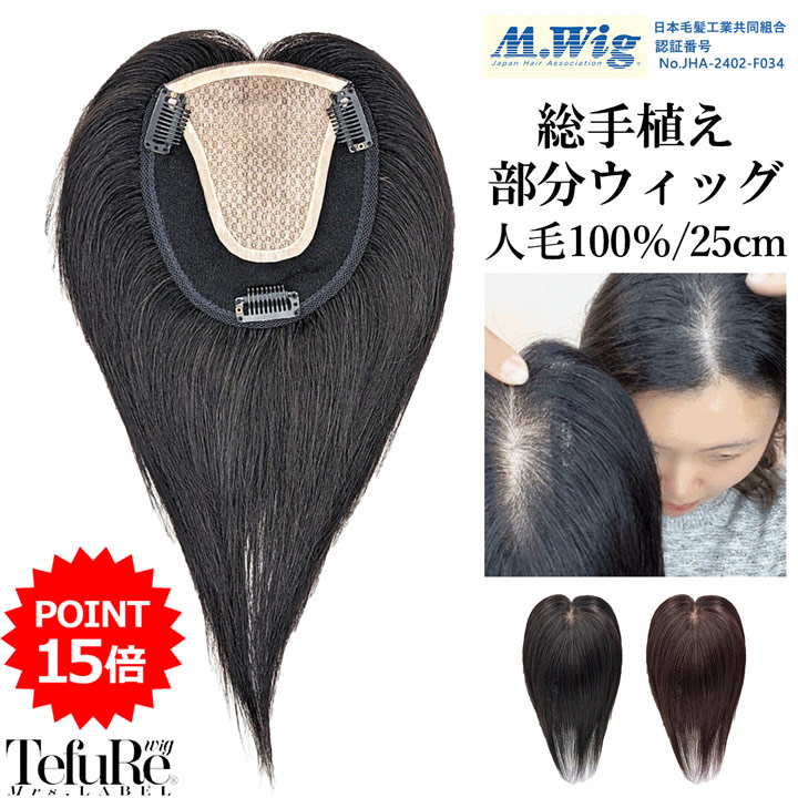 TefuRe（テフリ） 部分ウィッグ 人毛 100% ヘアピース 総手植え つむじ