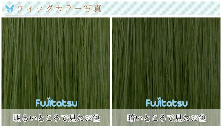 10/31まで！SALE/返品交換不可】ウィッグ ショート ウイッグ コスプレ かつらウルフ モスグリーン T2609  :HMD2240-T2609:ファッションウィッグ・エクステ TefuRe - 通販 - Yahoo!ショッピング