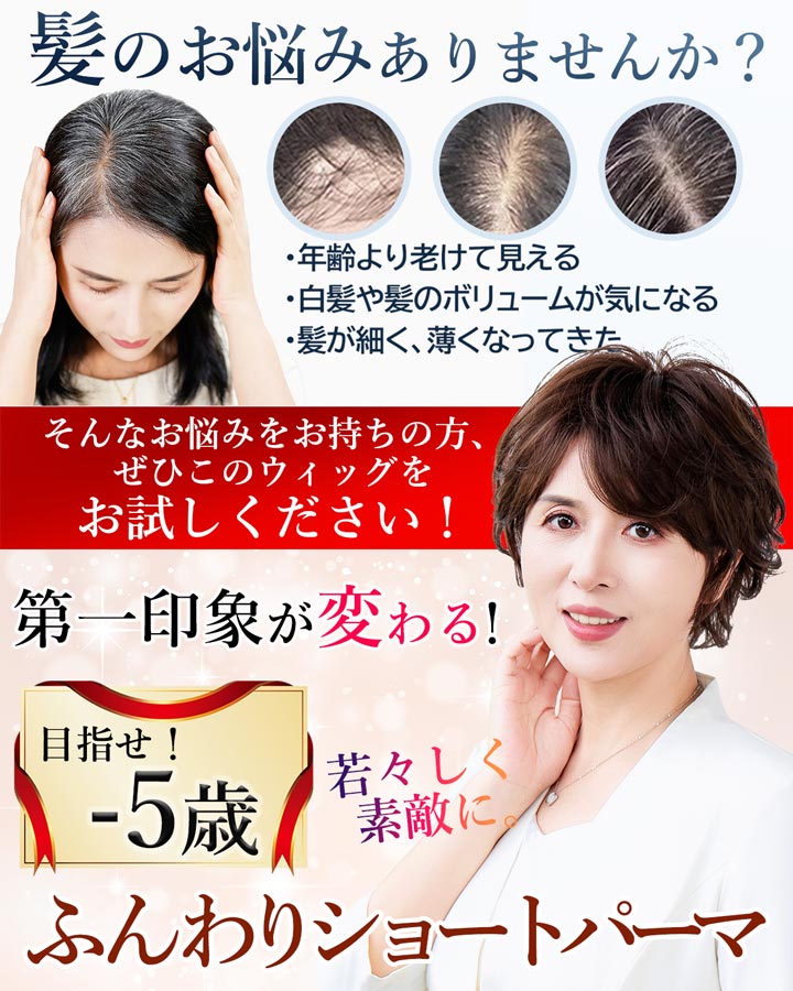 ウィッグ パーマ カール シニア 中高年 かつら 自然 人工毛 フル