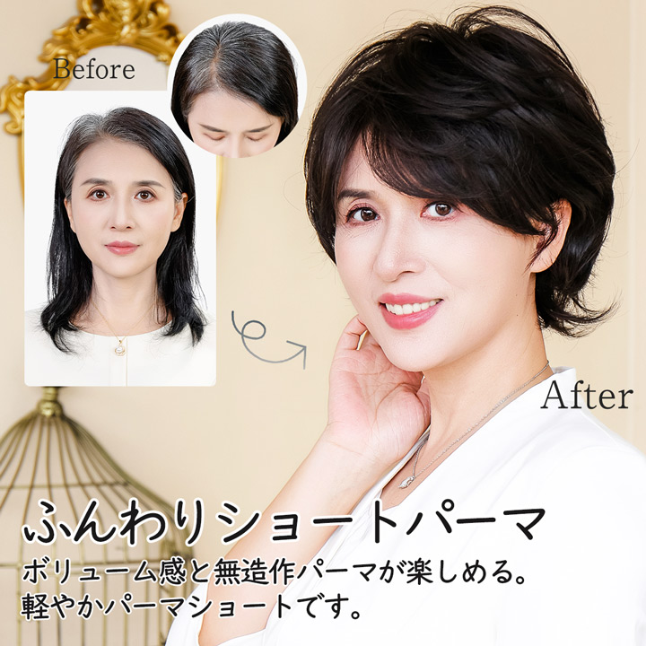 ハイネット ウィッグ ショート 高級ウィッグ カツラ 白髪隠し ハイネット ウィッグ ショート 高級ウィッグ カツラ 白髪隠し