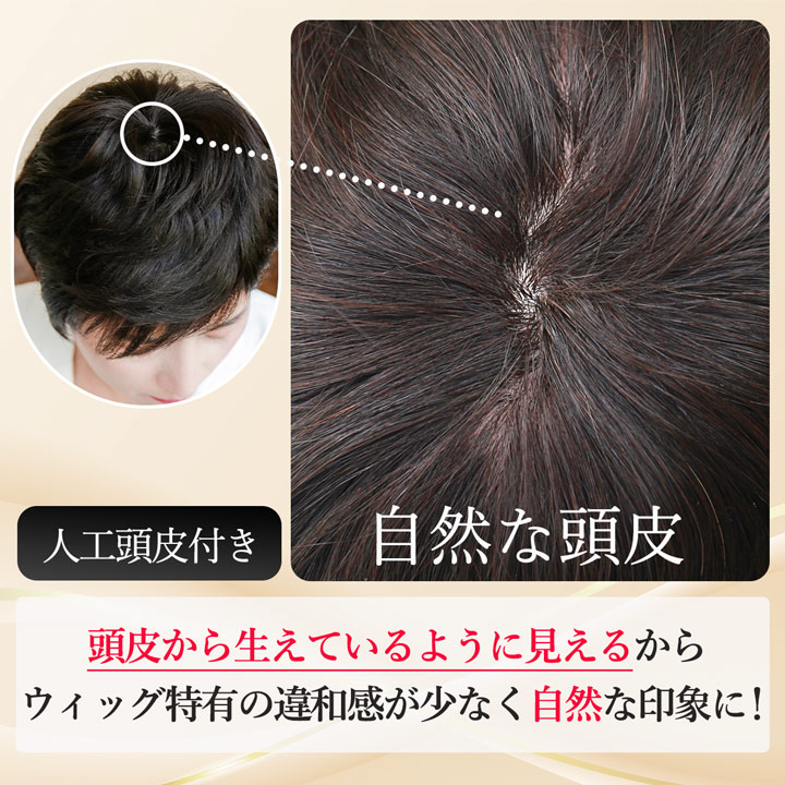 【売切セール 返品交換不可】 ウィッグ 自然 人毛 100% フルウィッグ 手植え 白髪隠し 薄毛 白髪 医療用 かつら 【大人エレガントショート】 | TefuRe | 10