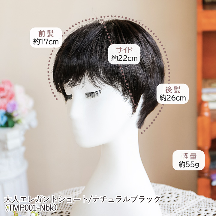 ウィッグ 自然 人毛 100% フルウィッグ 手植え シニア 中高年
