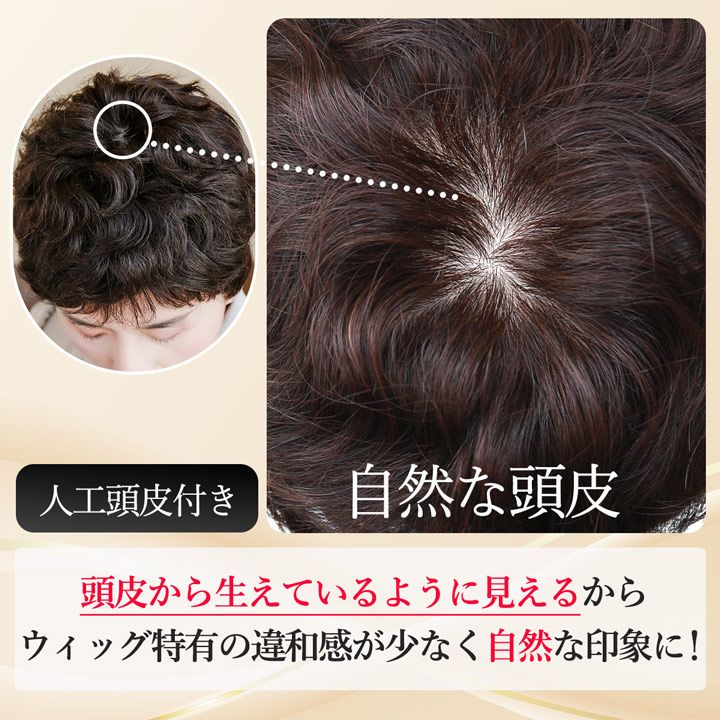 【売切セール 返品交換不可】 ウィッグ 自然 人毛 100% フルウィッグ 手植え 白髪隠し 薄毛 白髪 医療用 かつら【こなれアクティブショート】 | TefuRe | 10