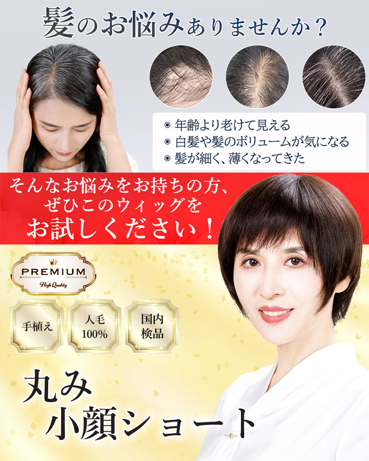【売切セール 返品交換不可】 ウィッグ 自然 人毛 100% フルウィッグ 手植え 茶髪 白髪隠し白髪 医療用 かつら 耐熱 【まるみ小顔ショート】 | TefuRe | 03
