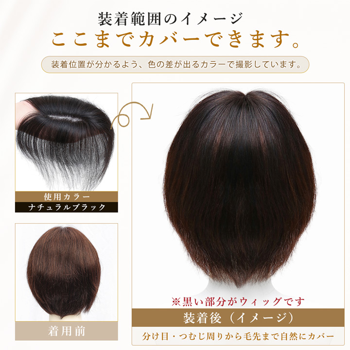 TefuRe（テフリ） シアースキン ヘアピース 人毛100％ 総手植え 白髪