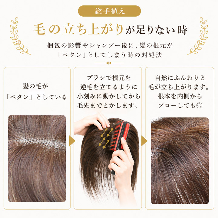 TefuRe（テフリ） 【素髪 リタッチピース】 人毛100％ 部分ウィッグ