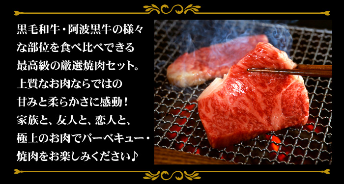 黒毛和牛 阿波黒牛 厳選焼肉セット 5種 40...の詳細画像3