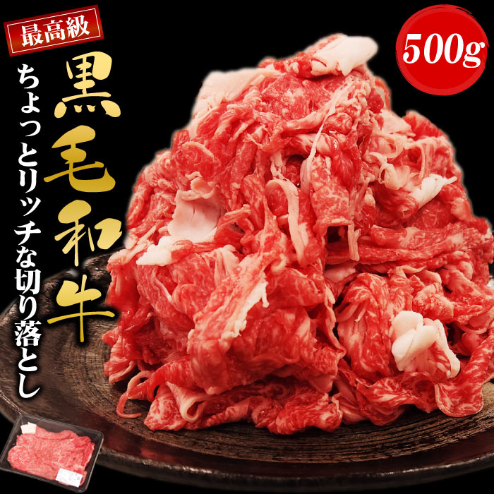 јa ƃb`Ȑ؂藎Ƃ 500g јa ؂藎Ƃ  Y Ă  