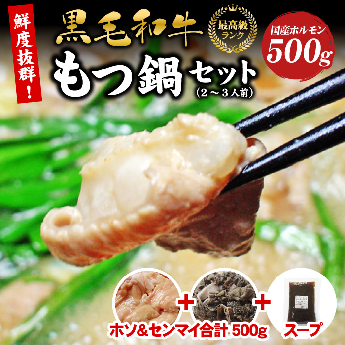 阿波牛 もつ鍋 国産 黒毛和牛 もつ鍋セット (2〜3人前) ホルモン