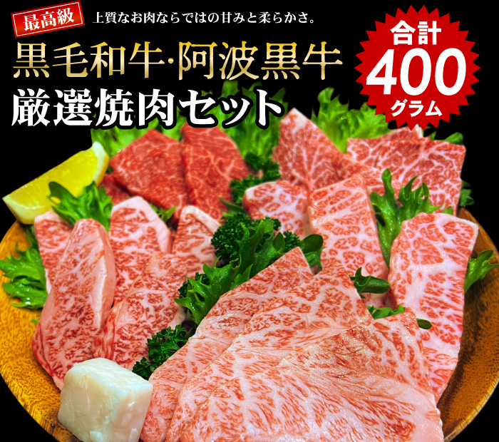 最高級黒毛和牛厳選焼肉セット400g