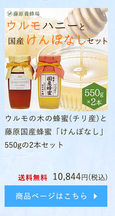 お得な特別割引価格） ベータ食品株式会社<br> 藤原養蜂場 日本蜜蜂の