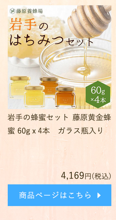 お得な特別割引価格） ベータ食品株式会社<br> 藤原養蜂場 日本蜜蜂の