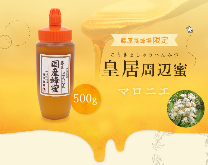 皇居周辺蜜 マロニエ500g