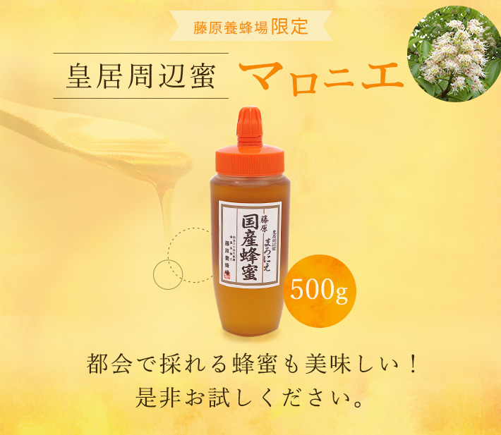 皇居周辺蜜 マロニエ500g