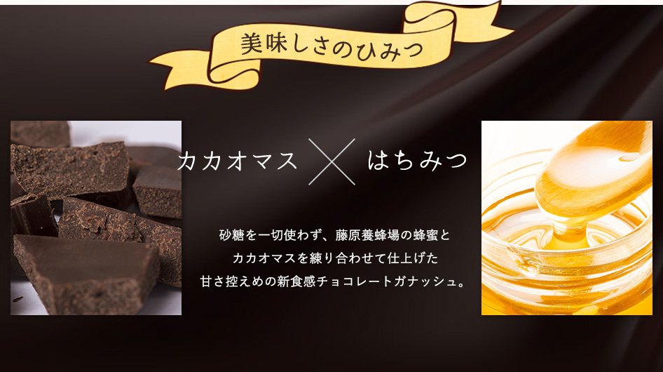 はちみつ 蜂蜜王国の蜂蜜ガナッシュ ハチミツチョコレート 贈り物に